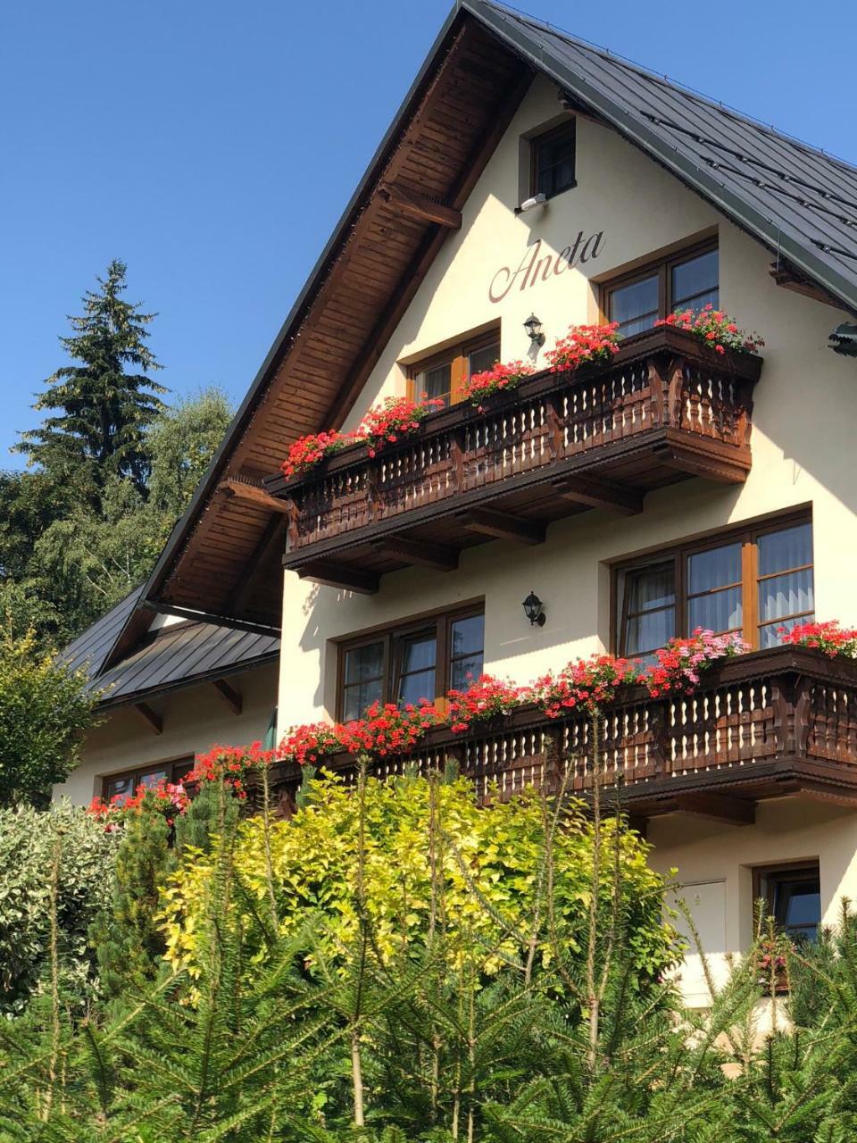 Apartmany Aneta Spindleruv Mlyn Exterior photo